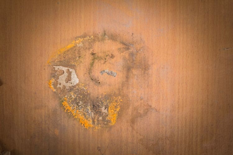 Mouldy wood
